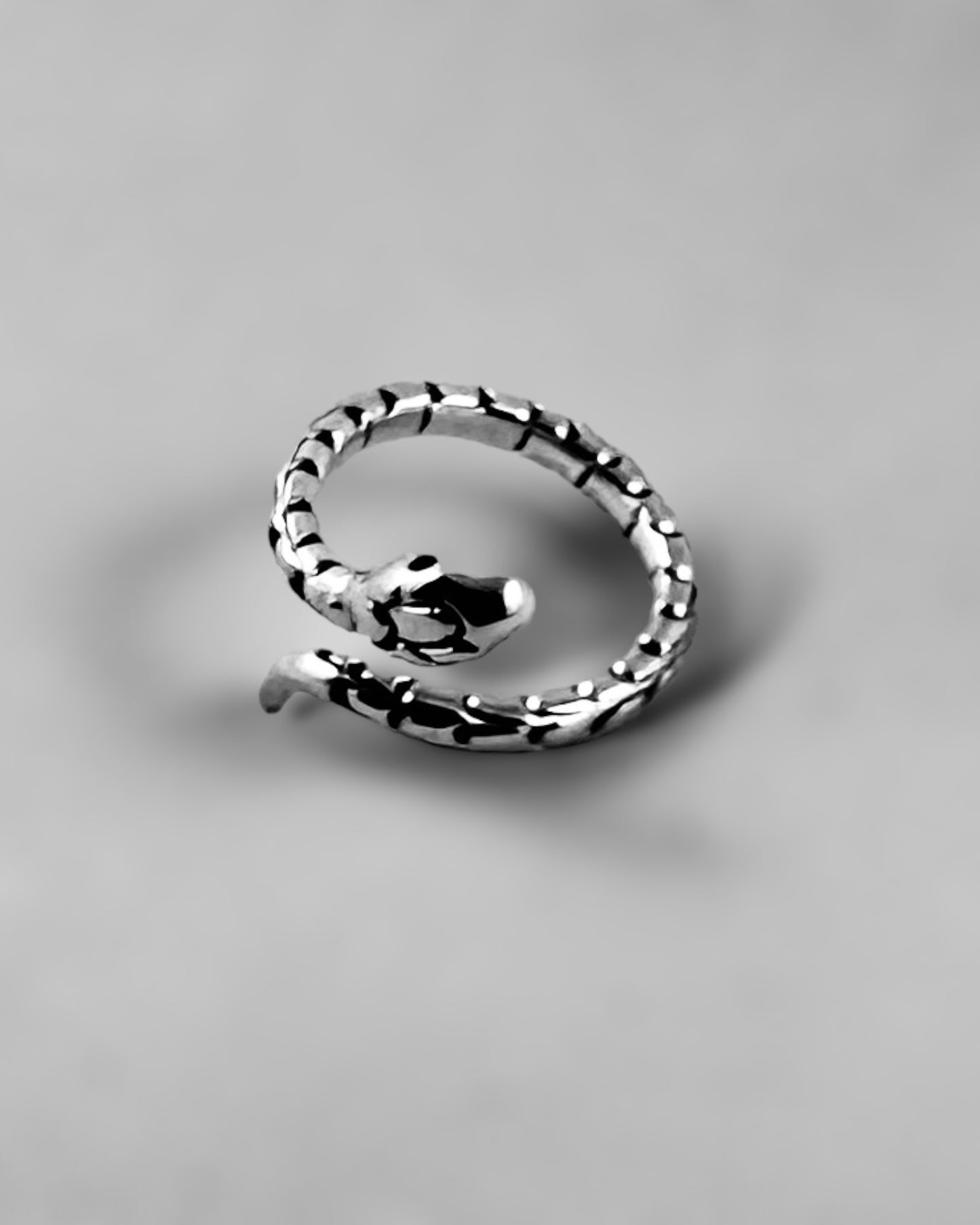 Snake - agsb contemporary jewellery