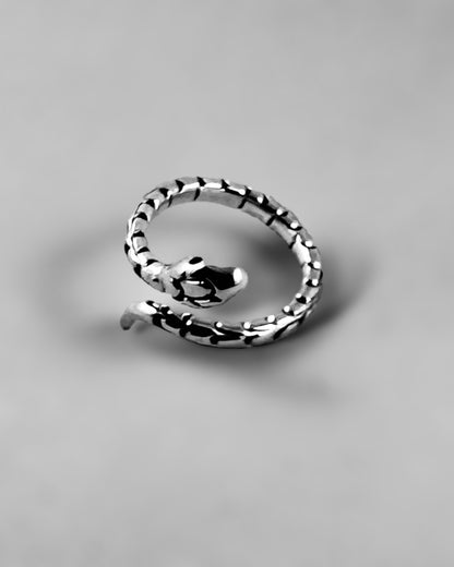 Snake - agsb contemporary jewellery